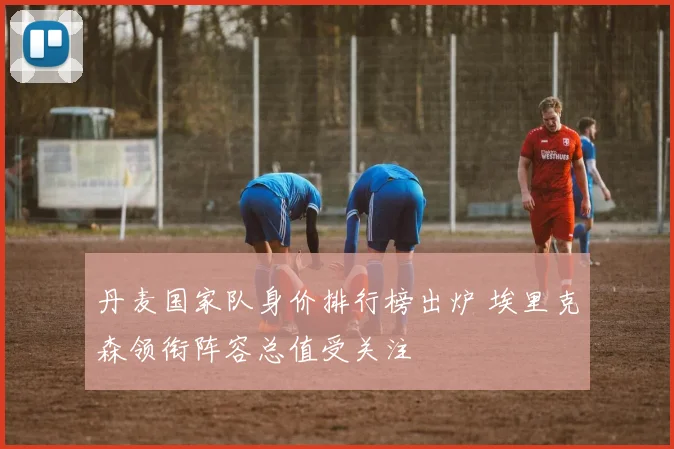 丹麦国家队身价排行榜出炉 埃里克森领衔阵容总值受关注