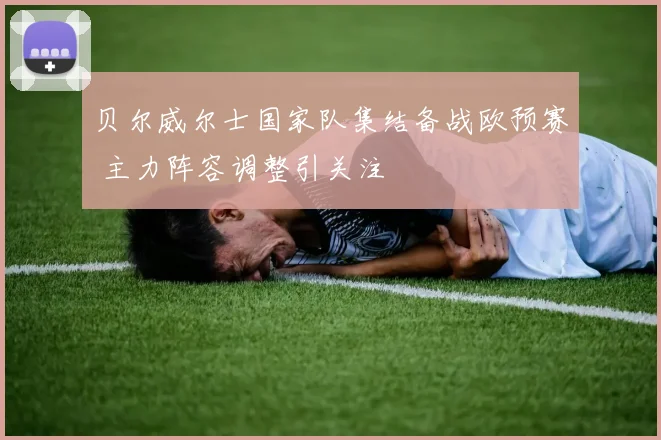 贝尔威尔士国家队集结备战欧预赛 主力阵容调整引关注